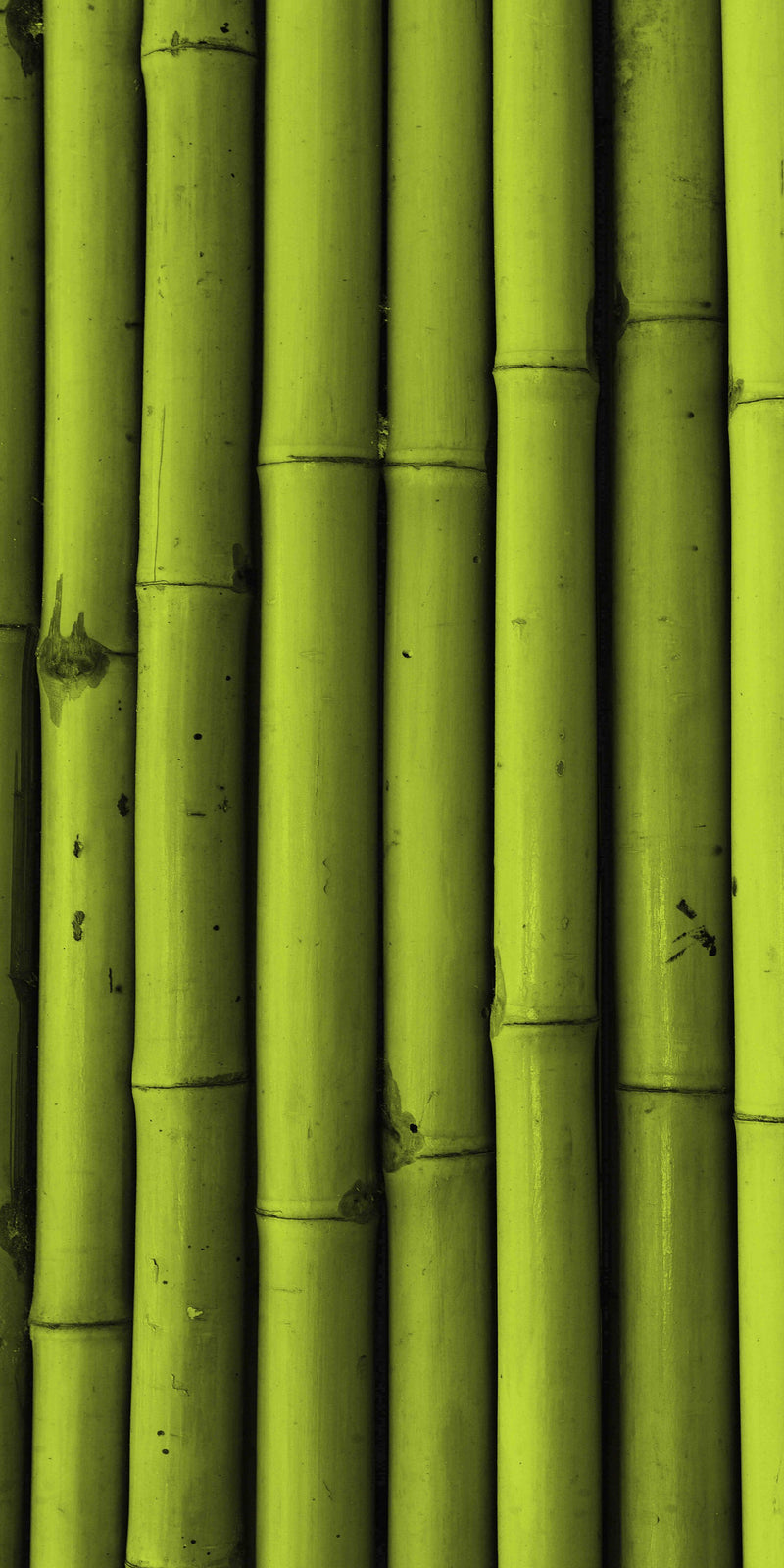 Pannello radiante infrarossi in vetro elettrico - Fantasia Canne di Bambù