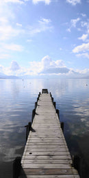 Pannello radiante infrarossi in vetro elettrico - Fantasia Passerella Mare del Nord