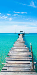 Pannello radiante infrarossi in vetro elettrico con convettore - Fantasia Mare Caraibi